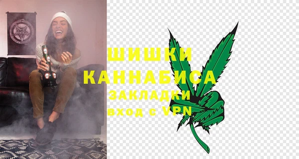 PSILOCYBIN Белокуриха