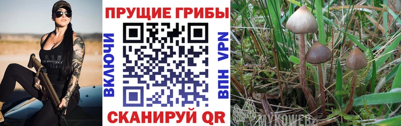 Галлюциногенные грибы MAGIC MUSHROOMS  Шелехов 